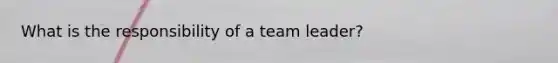 What is the responsibility of a team leader?