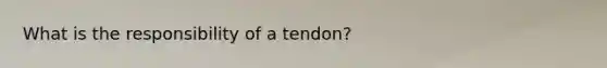 What is the responsibility of a tendon?