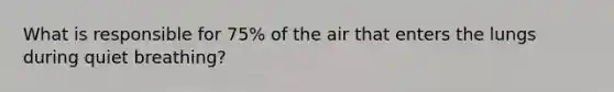 What is responsible for 75% of the air that enters the lungs during quiet breathing?