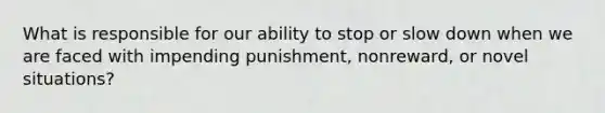 What is responsible for our ability to stop or slow down when we are faced with impending punishment, nonreward, or novel situations?