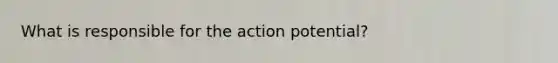 What is responsible for the action potential?