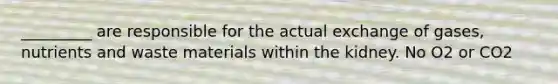 _________ are responsible for the actual exchange of gases, nutrients and waste materials within the kidney. No O2 or CO2