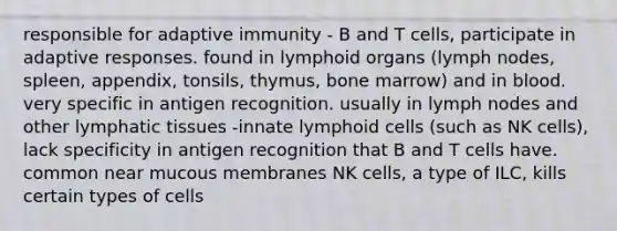 responsible for adaptive immunity - B and T cells, participate in adaptive responses. found in lymphoid organs (lymph nodes, spleen, appendix, tonsils, thymus, bone marrow) and in blood. very specific in antigen recognition. usually in lymph nodes and other lymphatic tissues -innate <a href='https://www.questionai.com/knowledge/kUNxwJ5MWQ-lymphoid-cells' class='anchor-knowledge'>lymphoid cells</a> (such as NK cells), lack specificity in antigen recognition that B and T cells have. common near mucous membranes NK cells, a type of ILC, kills certain types of cells