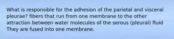 What is responsible for the adhesion of the parietal and visceral pleurae? fibers that run from one membrane to the other attraction between water molecules of the serous (pleural) fluid They are fused into one membrane.