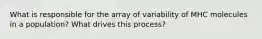 What is responsible for the array of variability of MHC molecules in a population? What drives this process?