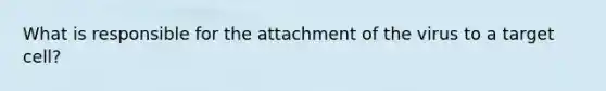 What is responsible for the attachment of the virus to a target cell?