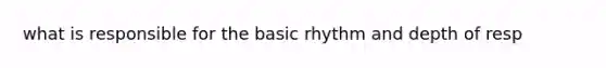 what is responsible for the basic rhythm and depth of resp