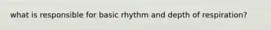 what is responsible for basic rhythm and depth of respiration?