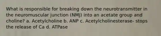 What is responsible for breaking down the neurotransmitter in the neuromuscular junction (NMJ) into an acetate group and choline? a. Acetylcholine b. ANP c. Acetylcholinesterase- stops the release of Ca d. ATPase