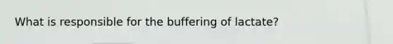 What is responsible for the buffering of lactate?