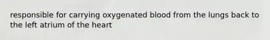 responsible for carrying oxygenated blood from the lungs back to the left atrium of the heart