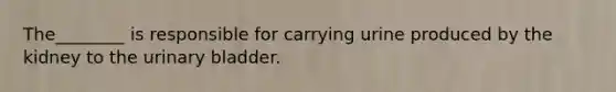 The________ is responsible for carrying urine produced by the kidney to the urinary bladder.