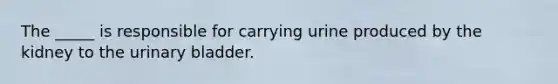 The _____ is responsible for carrying urine produced by the kidney to the <a href='https://www.questionai.com/knowledge/kb9SdfFdD9-urinary-bladder' class='anchor-knowledge'>urinary bladder</a>.