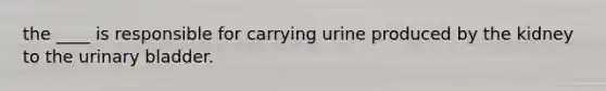 the ____ is responsible for carrying urine produced by the kidney to the urinary bladder.