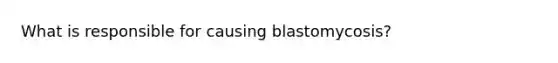 What is responsible for causing blastomycosis?