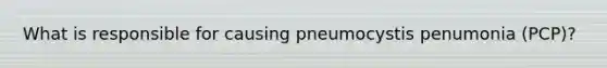 What is responsible for causing pneumocystis penumonia (PCP)?