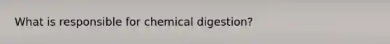 What is responsible for chemical digestion?