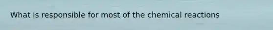 What is responsible for most of the chemical reactions