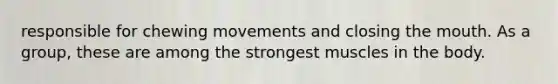 responsible for chewing movements and closing the mouth. As a group, these are among the strongest muscles in the body.