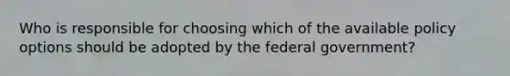 Who is responsible for choosing which of the available policy options should be adopted by the federal government?