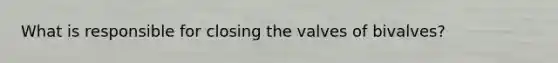 What is responsible for closing the valves of bivalves?