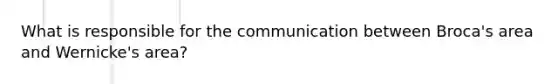 What is responsible for the communication between Broca's area and Wernicke's area?