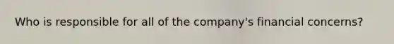 Who is responsible for all of the company's financial concerns?