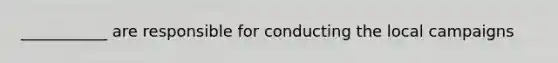 ___________ are responsible for conducting the local campaigns