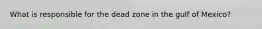 What is responsible for the dead zone in the gulf of Mexico?