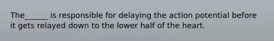 The______ is responsible for delaying the action potential before it gets relayed down to the lower half of the heart.