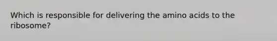 Which is responsible for delivering the <a href='https://www.questionai.com/knowledge/k9gb720LCl-amino-acids' class='anchor-knowledge'>amino acids</a> to the ribosome?