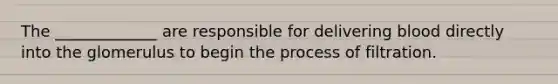 The _____________ are responsible for delivering blood directly into the glomerulus to begin the process of filtration.
