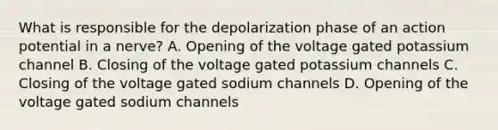 What is responsible for the depolarization phase of an action potential in a nerve? A. Opening of the voltage gated potassium channel B. Closing of the voltage gated potassium channels C. Closing of the voltage gated sodium channels D. Opening of the voltage gated sodium channels