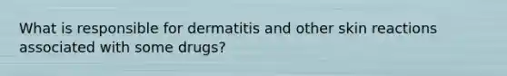 What is responsible for dermatitis and other skin reactions associated with some drugs?