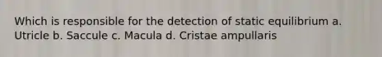 Which is responsible for the detection of static equilibrium a. Utricle b. Saccule c. Macula d. Cristae ampullaris