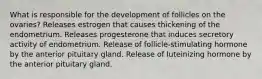 What is responsible for the development of follicles on the ovaries? Releases estrogen that causes thickening of the endometrium. Releases progesterone that induces secretory activity of endometrium. Release of follicle-stimulating hormone by the anterior pituitary gland. Release of luteinizing hormone by the anterior pituitary gland.