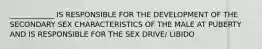 ____________ IS RESPONSIBLE FOR THE DEVELOPMENT OF THE SECONDARY SEX CHARACTERISTICS OF THE MALE AT PUBERTY AND IS RESPONSIBLE FOR THE SEX DRIVE/ LIBIDO