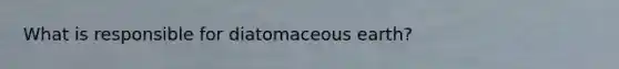 What is responsible for diatomaceous earth?