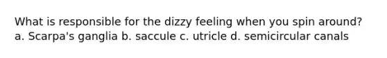 What is responsible for the dizzy feeling when you spin around? a. Scarpa's ganglia b. saccule c. utricle d. semicircular canals