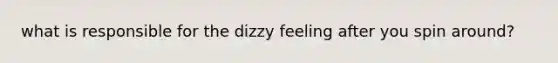 what is responsible for the dizzy feeling after you spin around?