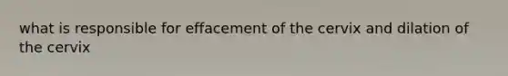 what is responsible for effacement of the cervix and dilation of the cervix