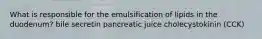 What is responsible for the emulsification of lipids in the duodenum? bile secretin pancreatic juice cholecystokinin (CCK)