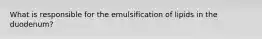 What is responsible for the emulsification of lipids in the duodenum?