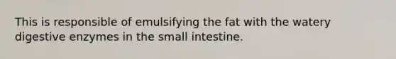 This is responsible of emulsifying the fat with the watery <a href='https://www.questionai.com/knowledge/kK14poSlmL-digestive-enzymes' class='anchor-knowledge'>digestive enzymes</a> in <a href='https://www.questionai.com/knowledge/kt623fh5xn-the-small-intestine' class='anchor-knowledge'>the small intestine</a>.