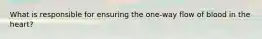 What is responsible for ensuring the one-way flow of blood in the heart?