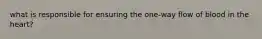 what is responsible for ensuring the one-way flow of blood in the heart?