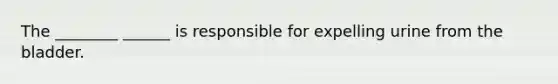 The ________ ______ is responsible for expelling urine from the bladder.