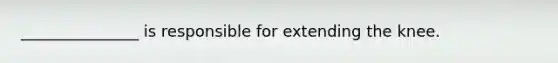 _______________ is responsible for extending the knee.