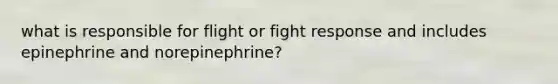 what is responsible for flight or fight response and includes epinephrine and norepinephrine?