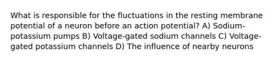 What is responsible for the fluctuations in the resting membrane potential of a neuron before an action potential? A) Sodium-potassium pumps B) Voltage-gated sodium channels C) Voltage-gated potassium channels D) The influence of nearby neurons